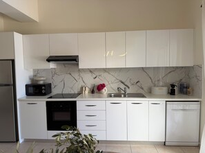 Coffee/tea maker, fridge, microwave, oven - The sea, restaurants and shopping facilities can be  on foot in appr. 15 min. (Pafos)