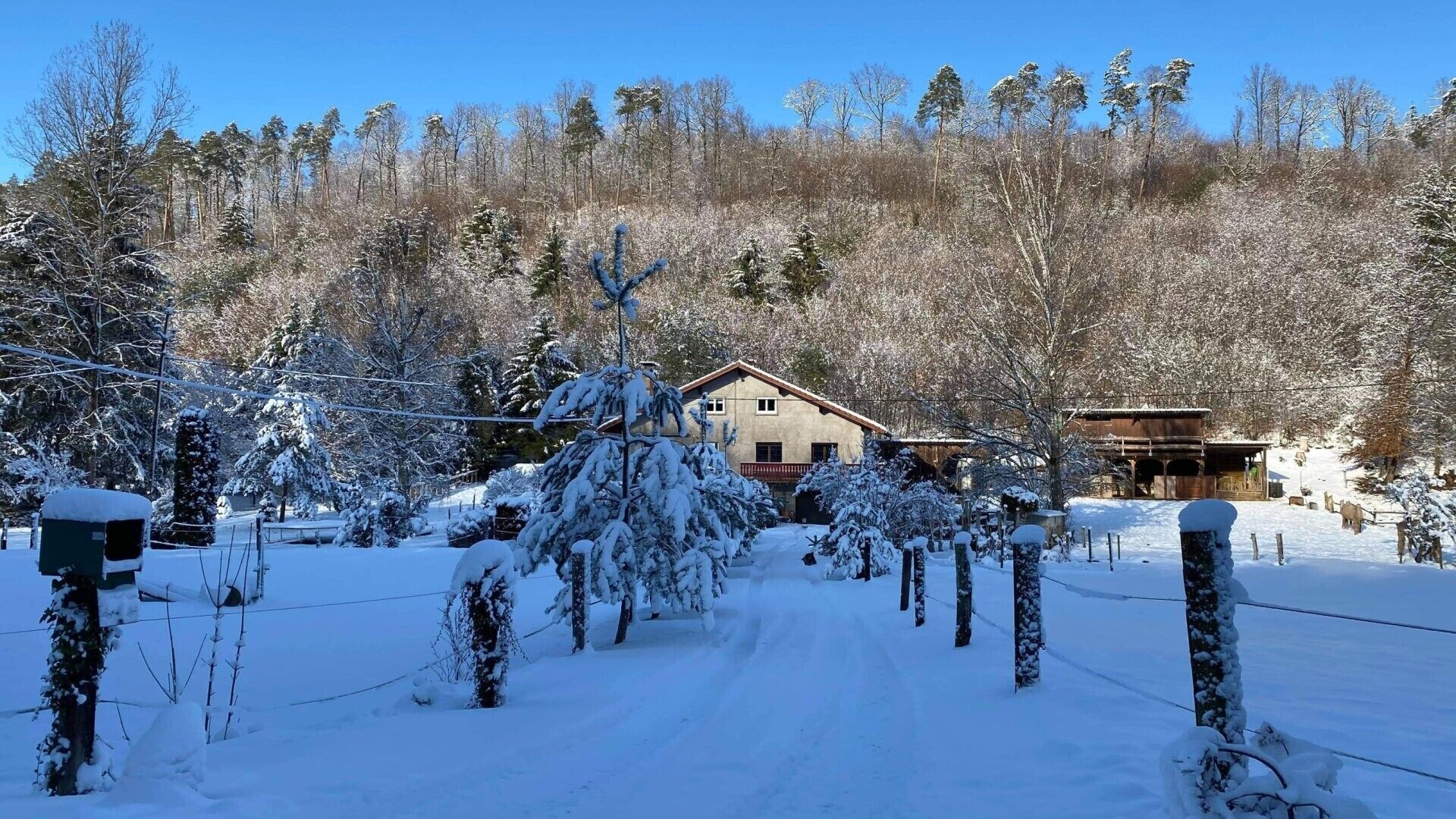Terrein van de accommodatie