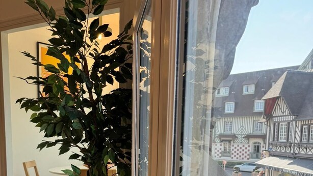 Une pièce avec une grande fenêtre, une plante en pot, une chaise et un radiateur.