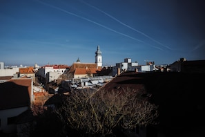 View from room - Ferdinand Boutique (Cluj-Napoca)