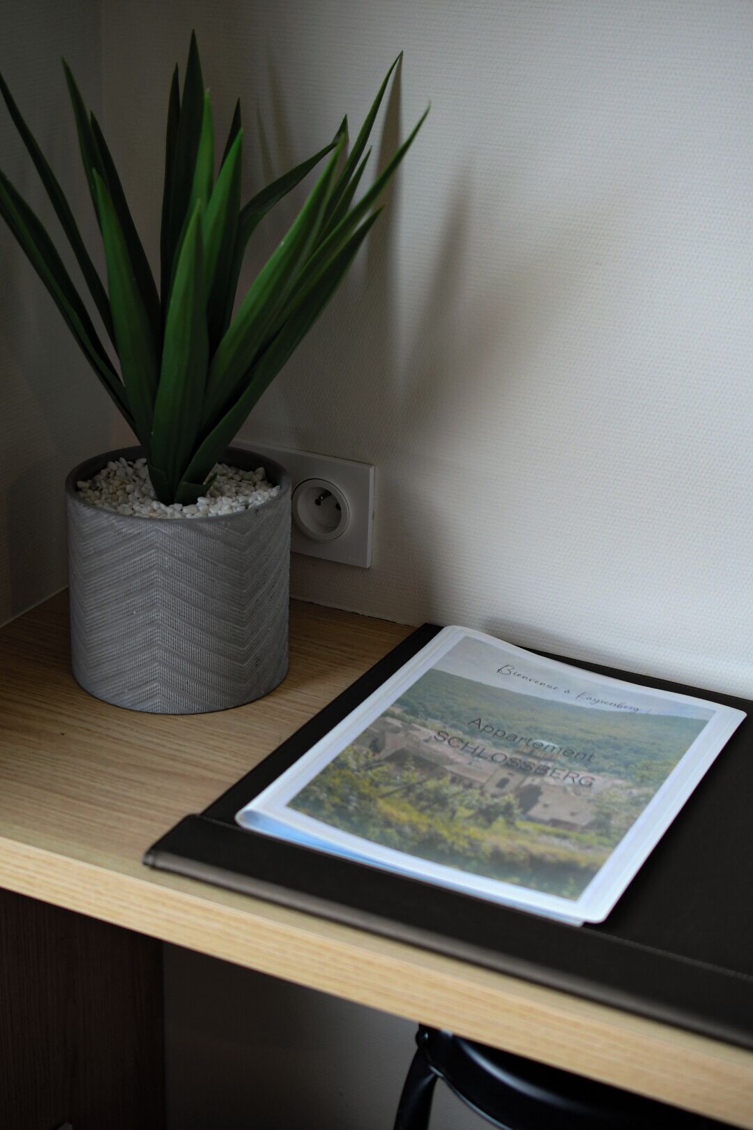 Ein Blumentopf, ein gerahmtes Bild und eine Steckdose auf einem Schreibtisch.