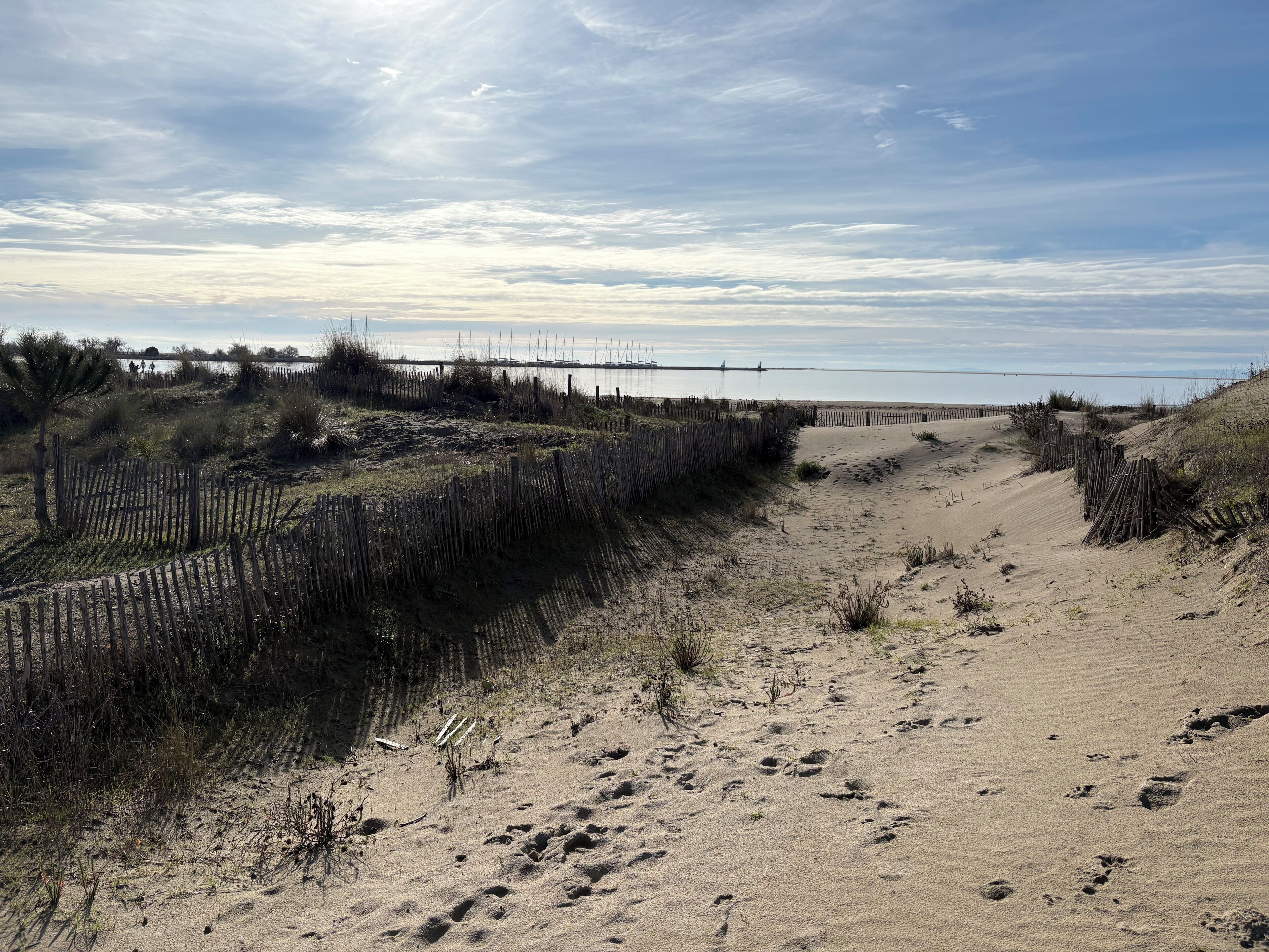 Ein Sandstrand mit einer Holzlattenverkleidung und vereinzelter Vegetation.