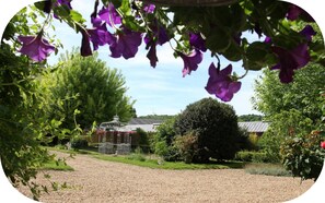 Immagine non classificata, 4 di 14, pulsante