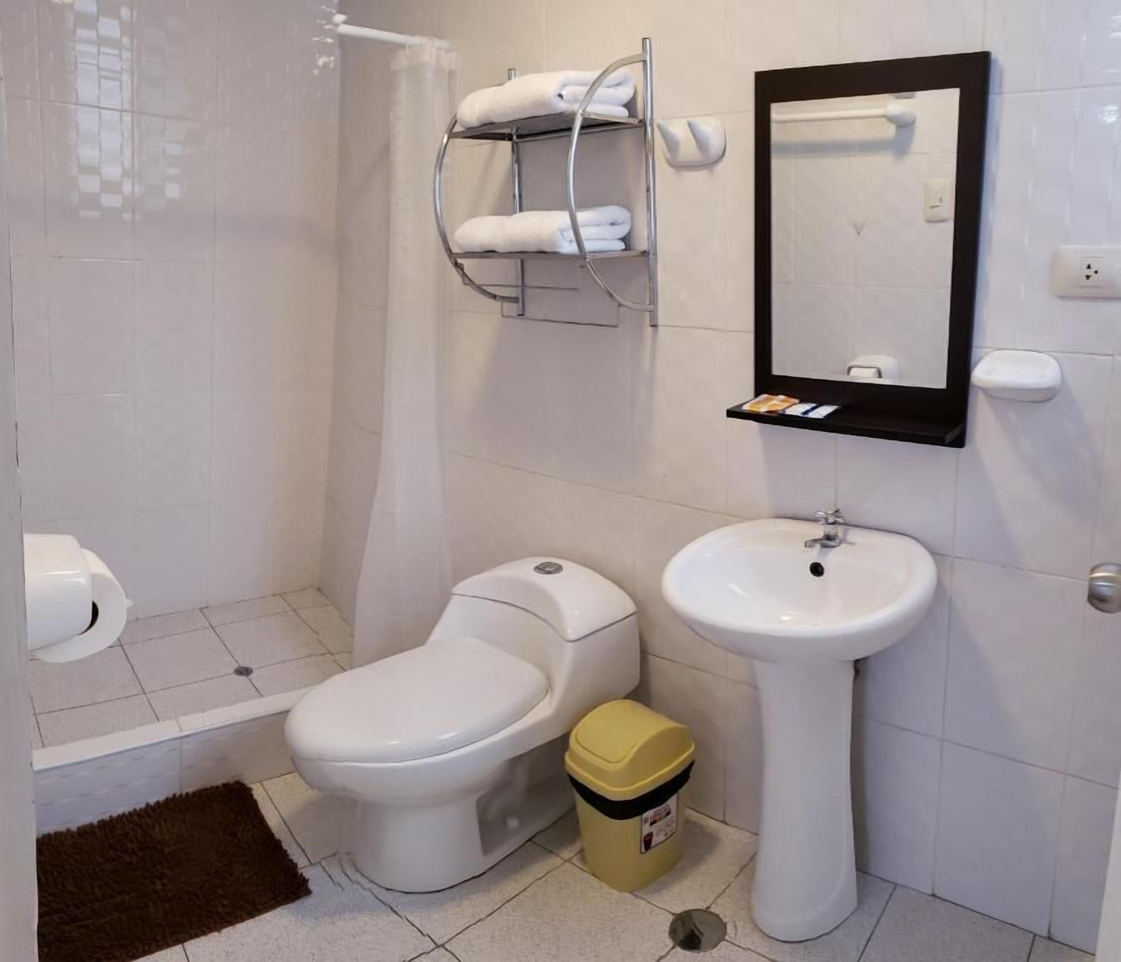 吹风机、毛巾、肥皂、洗发水