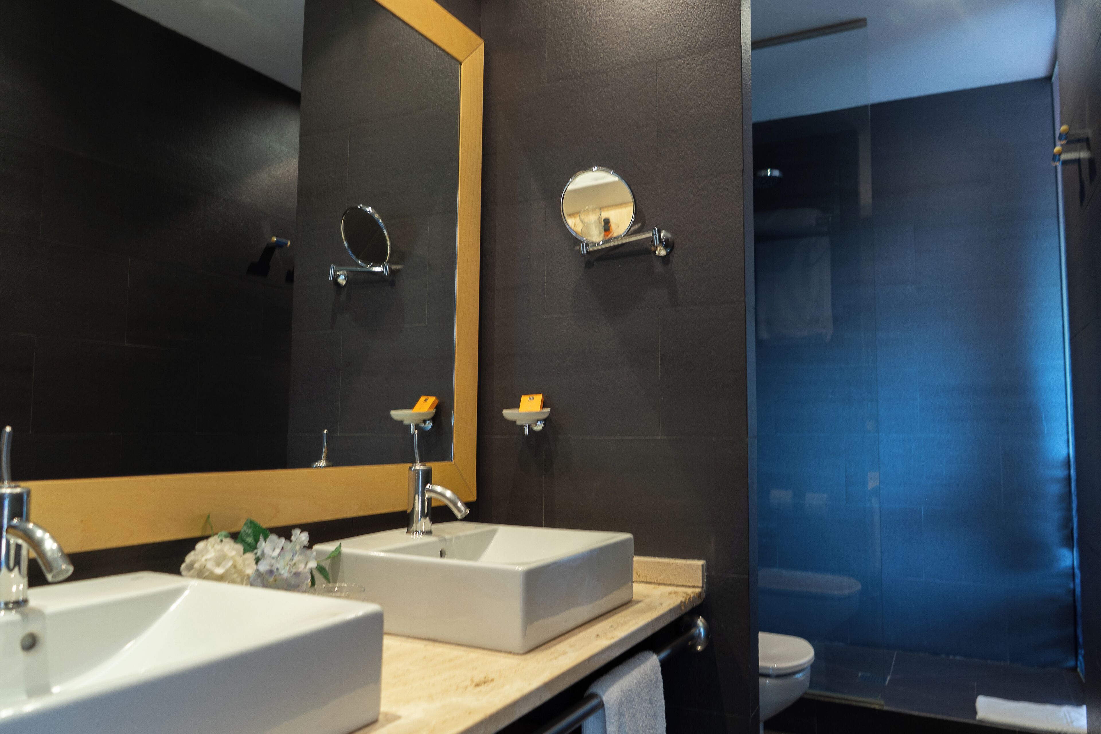 Suite junior | Baño | Ducha, secador de pelo, toallas y jabón