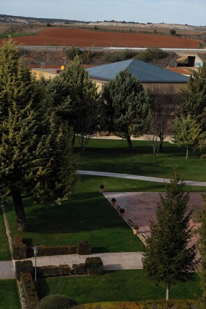 รูปภาพที่ไม่ได้จัดประเภท, 2 จาก 63, ปุ่ม