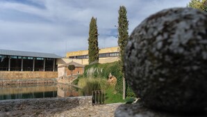 Un chemin de pierres menant à un bâtiment agrémenté d’un élément décoratif aquatique et bordé de grands arbres.