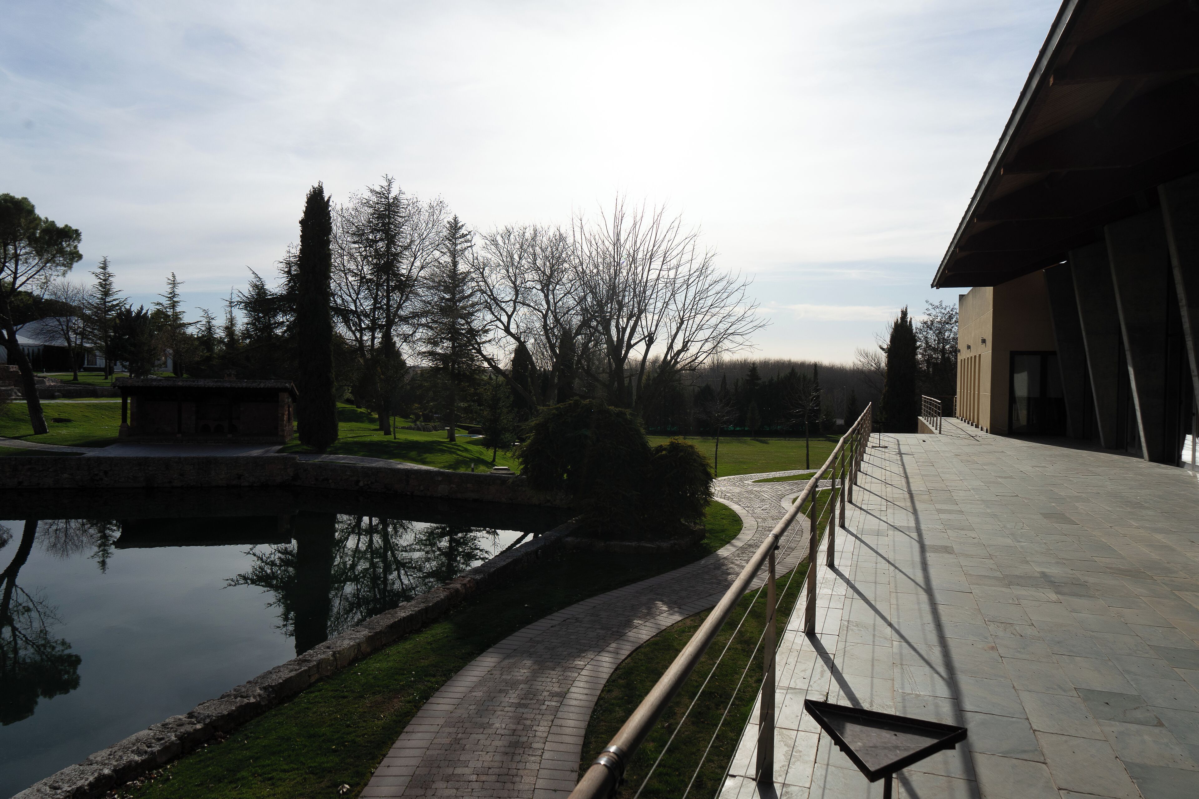 A pathway leading to a building with a reflective water feature and trees.