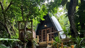 Un sendero conduce a una cabaña de madera rústica rodeada de abundante vegetación.