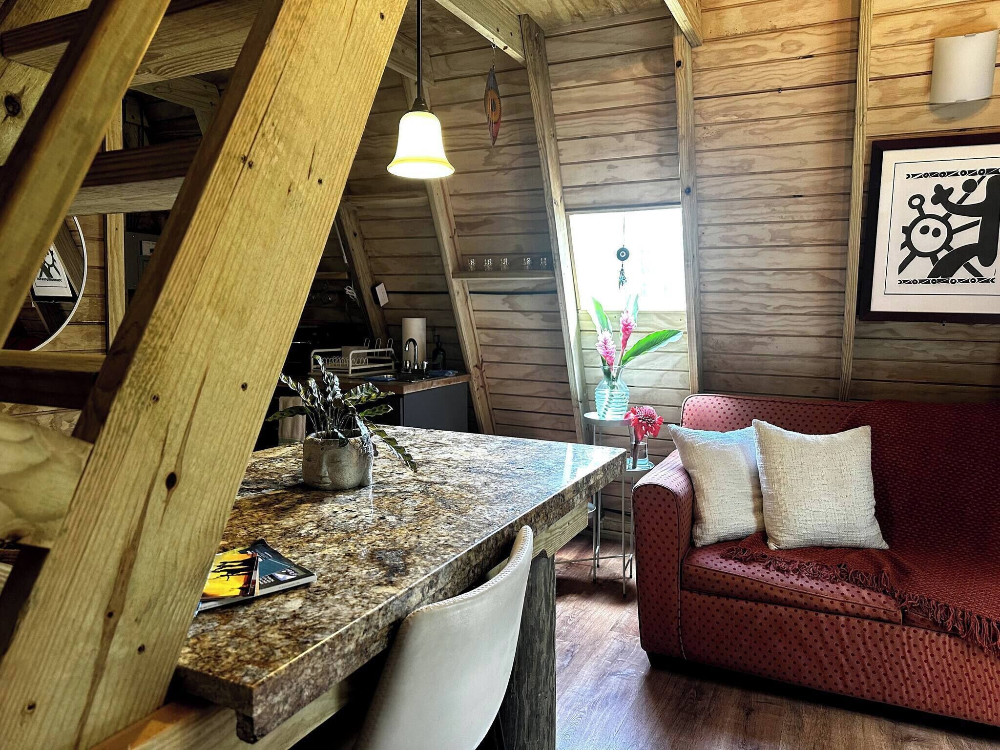 Televisión, chimenea, libros