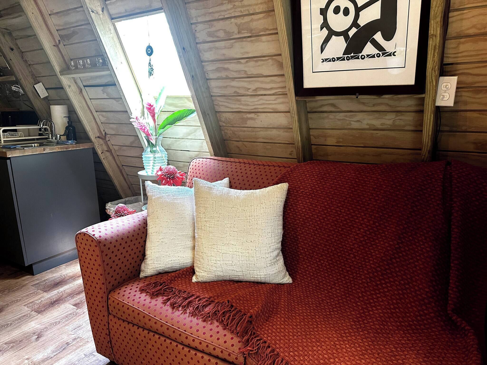 Télévision, cheminée, livres