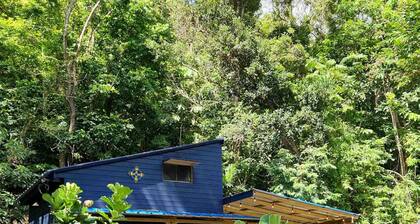 Tiny Cozy Mountain Cabin Peaceful Retreat in Cayey