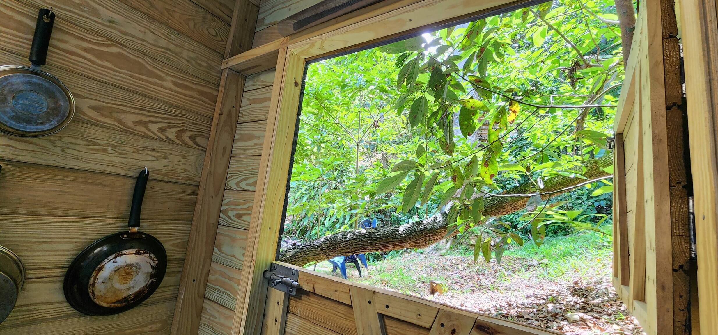 Área da propriedade