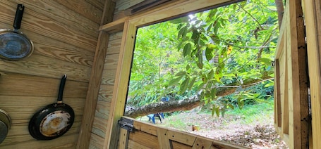 Property grounds. Tiny Cozy Mountain Cabin Peaceful Retreat in Cayey