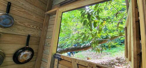 Tiny Cozy Mountain Cabin Peaceful Retreat in Cayey