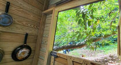 Tiny Cozy Mountain Cabin Peaceful Retreat in Cayey