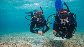 Apartment, 1 Schlafzimmer, barrierefrei, Raucher | Pool
