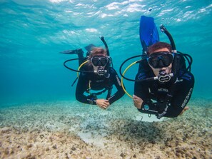Apartment, 1 Schlafzimmer, barrierefrei, Raucher | Pool