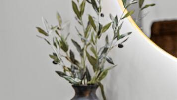 Secador de pelo, bidet, toallas