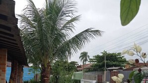 A garden with a palm tree, a round table, and various plants. - Beach retreat with pool, barbecue, and pool table. (Pontal do Paraná)