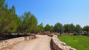 Jardines del alojamiento