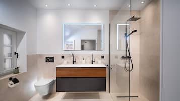 Regadera, secadora de cabello, toallas