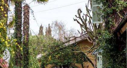 Ammodonostro-luxury Italian experience, Wedding estate near Rome.