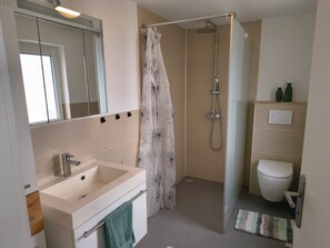 Shower, hair dryer, towels