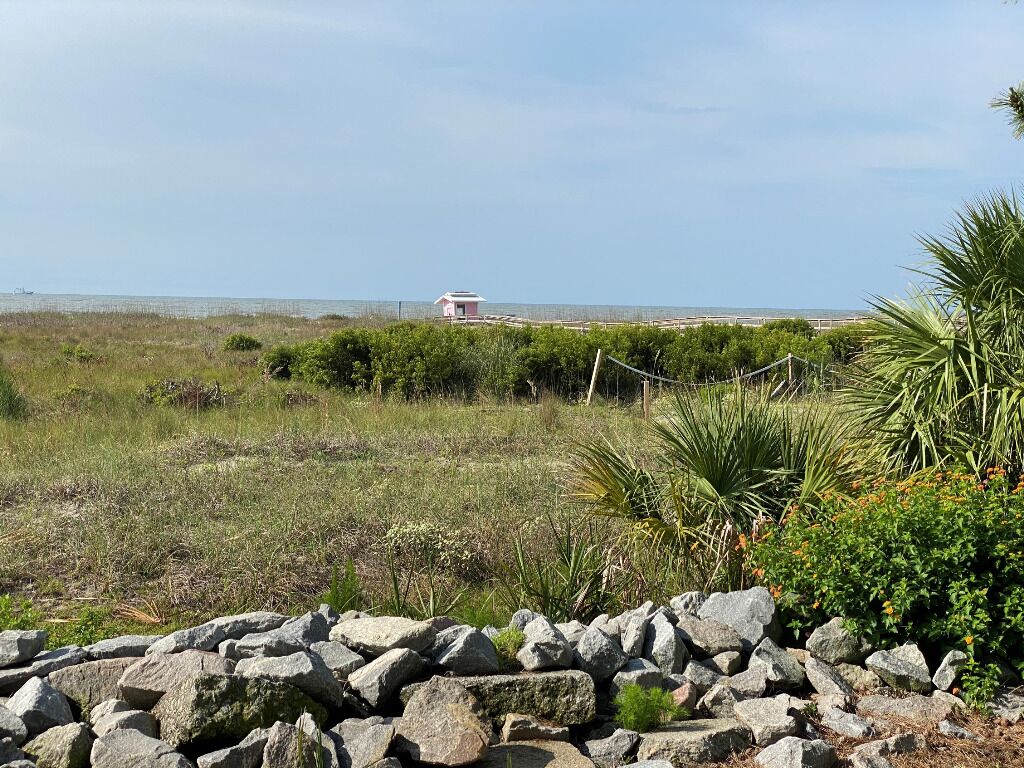 Een kustlandschap met een klein gebouw, mogelijk een vuurtoren, omringd door begroeiing en een rotsachtige voorgrond.