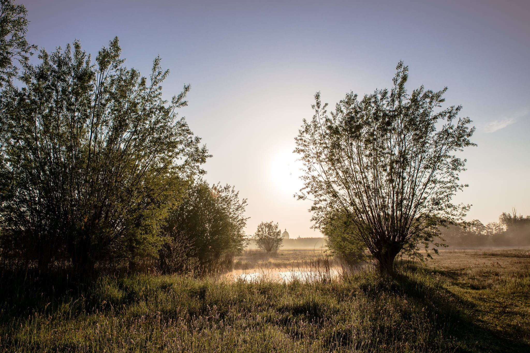 A natural landscape with trees and a body of water.
