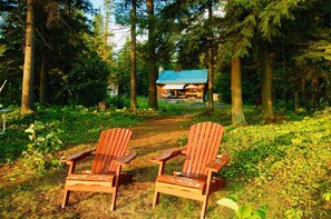 Unclassified image, 3 of 18, button