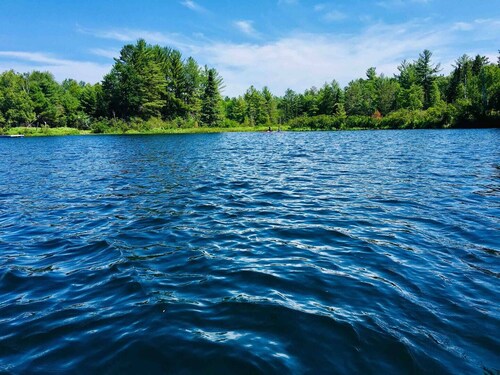 The Loon Call: Gorgeous Lakefront Family Cottage