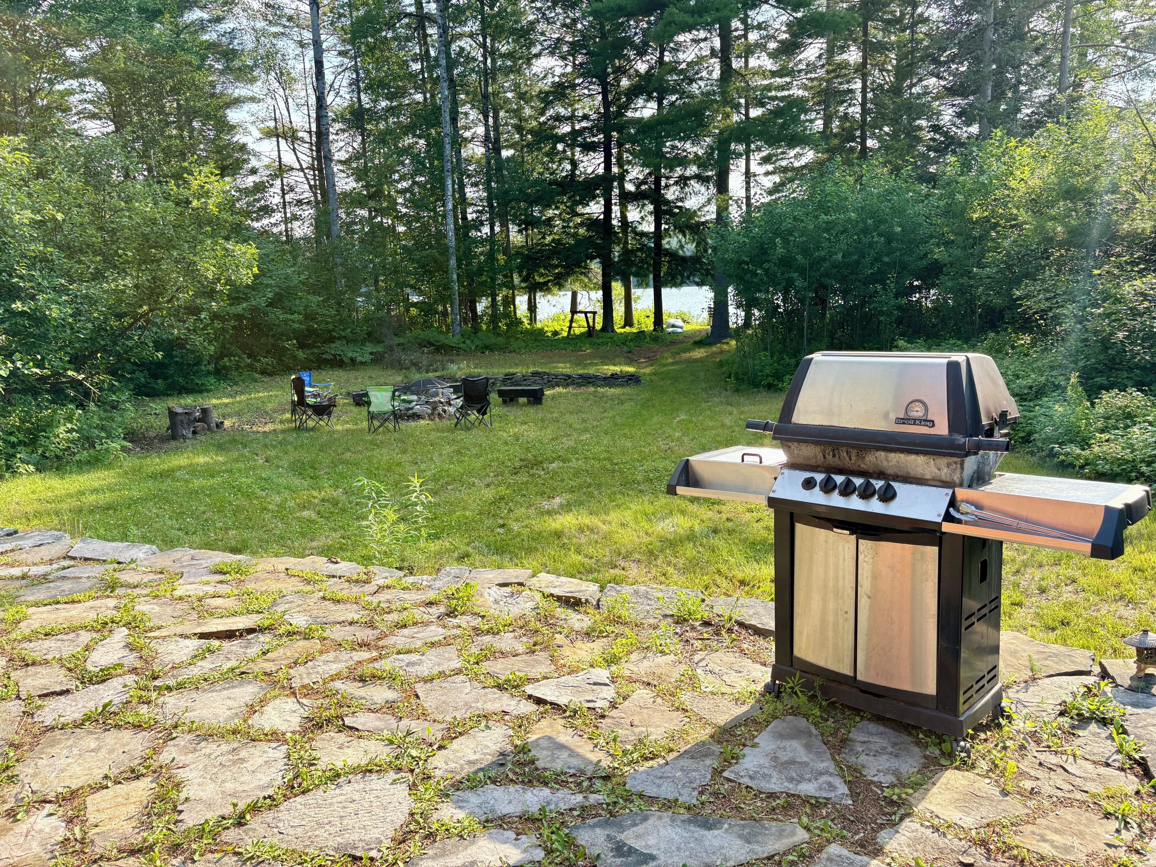 Une terrasse en pierre avec un barbecue, située dans un espace boisé.