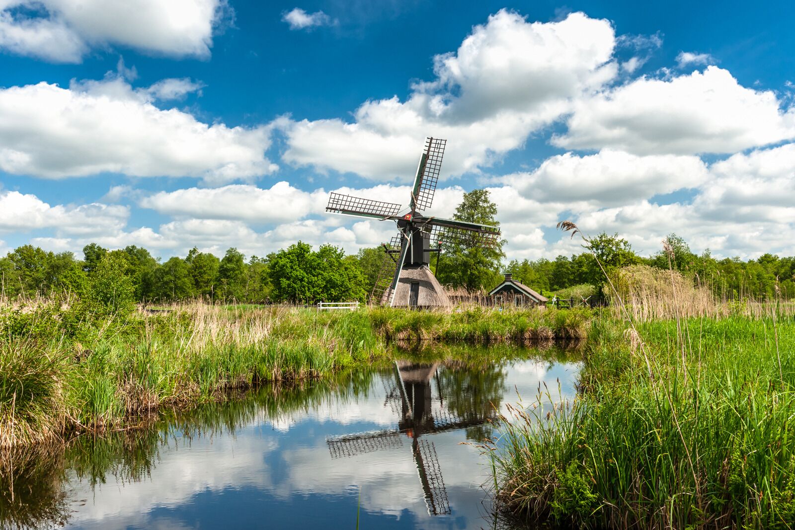 Un moulin à vent traditionnel, situé dans un cadre naturel, avec un étang au premier plan et un ciel dégagé.