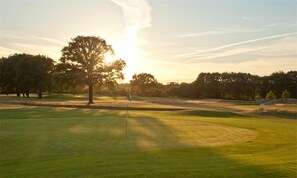 Golf - Nature-Lover’s Haven by Biesbosch & Birdwatching Sites | Historic Attractions (Made)