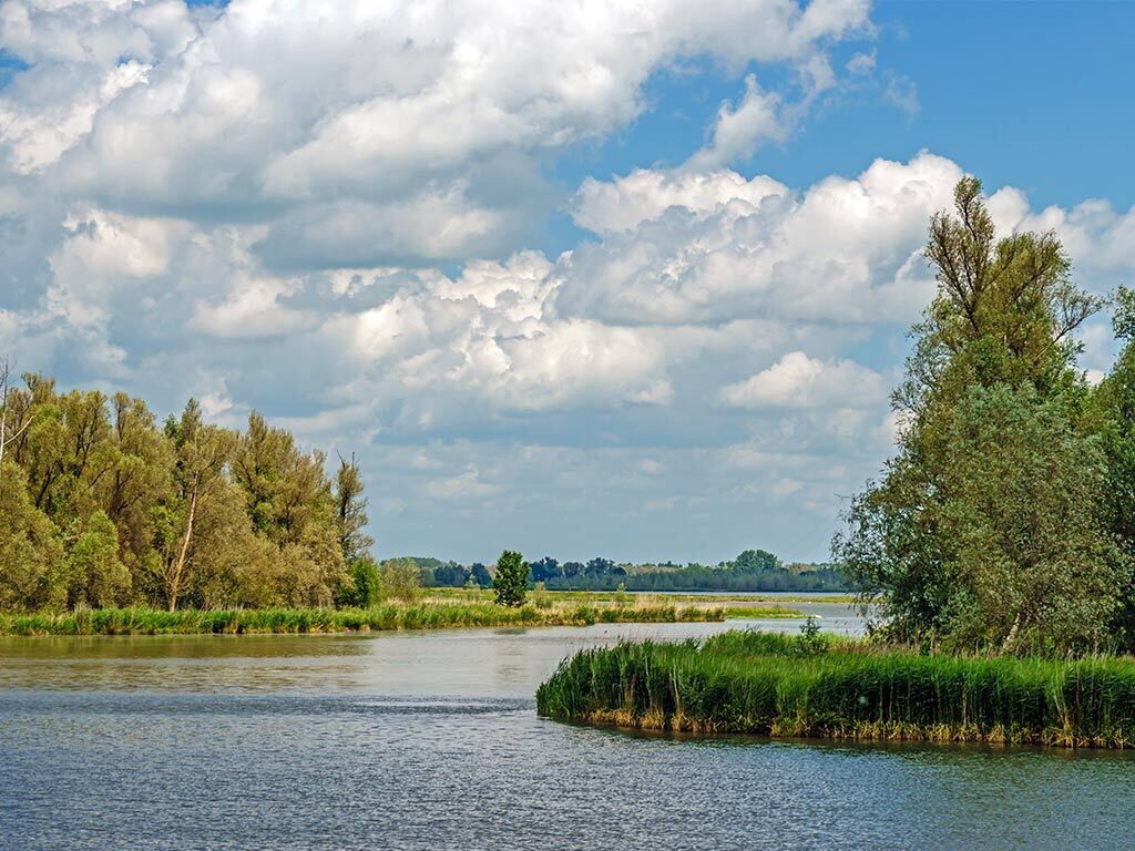 A river with trees and a cloudy sky.