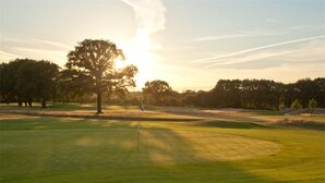 A golf course with a flagstick in the foreground, surrounded by trees and a clear sky.