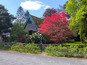 A traditional wooden house with a green roof, surrounded by lush greenery and vibrant red foliage. - Vacation home Specht in the Lüneburg Heath (Neuenkirchen)