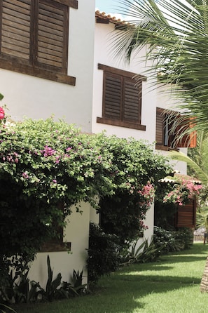 Un edificio blanco con contraventanas marrones, rodeado de exuberante follaje y plantas florecientes.