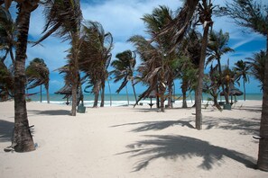 Uma praia com palmeiras e céu claro.
