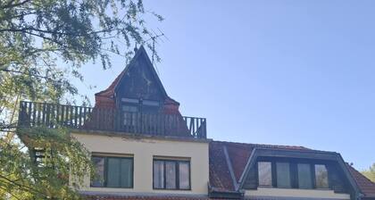 Margaréta Vendégház Soltvadkert, Tágas Kisállatbarát szállás