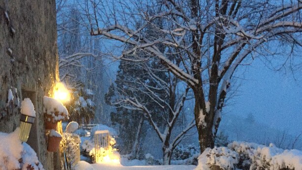 Un sentiero innevato che conduce a un edificio, con un albero sullo sfondo.