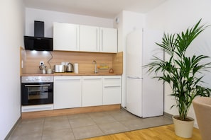 Fridge, oven, stovetop, dishwasher