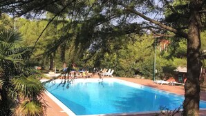 A rectangular swimming pool surrounded by lounge chairs and palm trees. - Casa Carolina by Case al Lago (Desenzano del Garda)