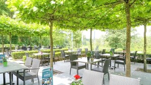 Un espace extérieur aménagé pour les repas, avec des tables et des chaises, entouré d’arbres et de verdure.