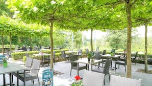 Un área de comedor al aire libre con mesas y sillas, rodeada de árboles y vegetación.