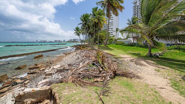 Zona costera con playa, palmeras y un camino que lleva a un edificio.