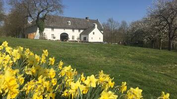 A white building with a large arched entrance, surrounded by a grassy area with yellow daffodils.