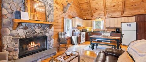 TV, fireplace, books