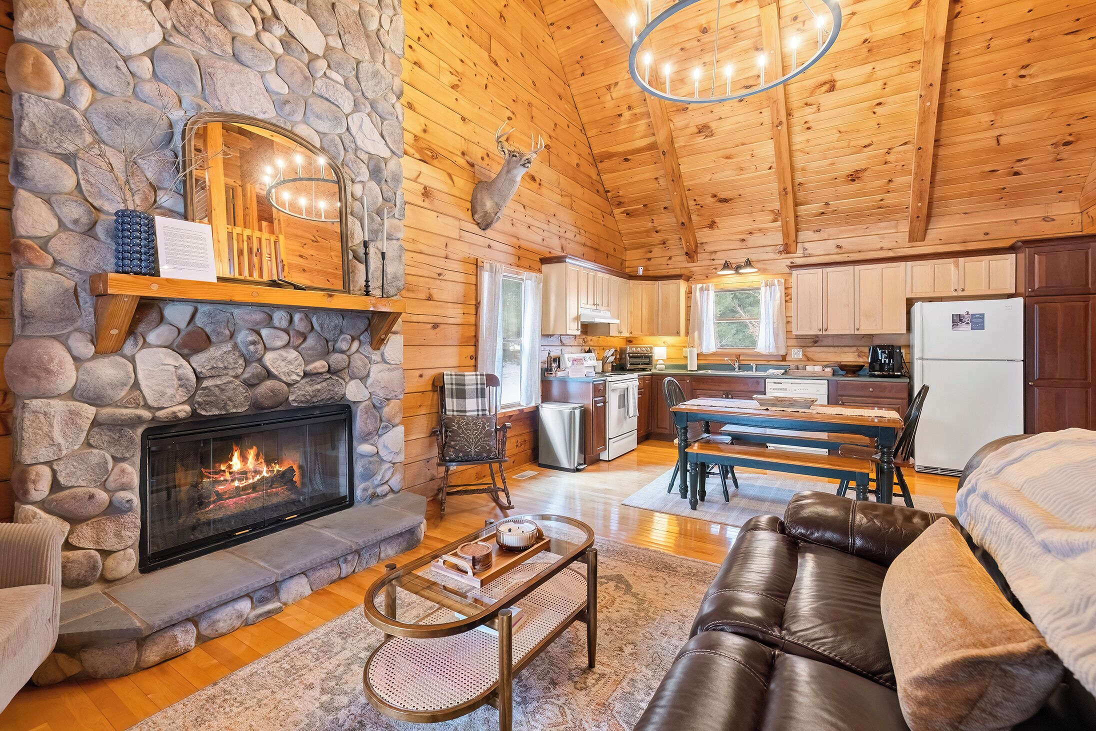 TV, fireplace, books